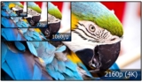 Screen resolution: What is 1080p, 2K, WQHD, UHD, 4K, 8K?