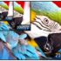 WQHD Resolution: All about the Wide Quad High Definition