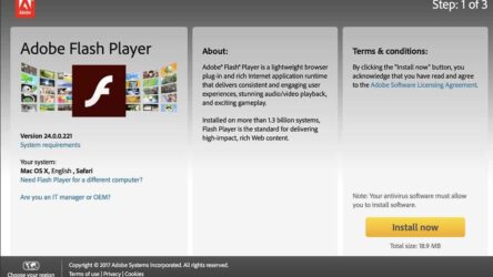 How to use Adobe Flash player in 2023